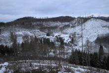 Alte Mülldeponie - oberhalb &quot;In der Richtel&quot; - unterhalb &quot;Kirschboden&quot; - von &quot;Kirschköpfe&quot; bis &quot;Sellenberg&quot;