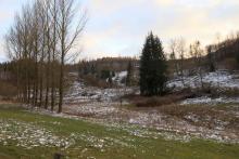 Alte Mülldeponie - oberhalb &quot;In der Richtel&quot; - unterhalb &quot;Kirschboden&quot; - von &quot;Kirschköpfe&quot; bis &quot;Sellenberg&quot;