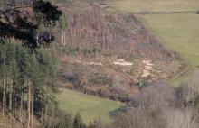 An der L903 Puderbach  Richstein - gegenüber "Die oberste Triftwiese"