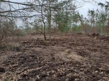 Rodung+Bodenzerstörung