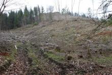 zum Entenberg auf Wanderweg A4, L = Lahnwanderweg, L1