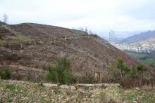 zum Entenberg auf Wanderweg A4, L = Lahnwanderweg, L1