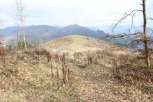 zum Entenberg auf Wanderweg A4, L = Lahnwanderweg, L1