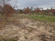 Bodenzerstörung/Freilegung Minerlaboden