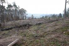 Breidenstein - Hessen - oberhalb Endebergsfeld - unterhalb Wanderweg A4 / L zum Entenberg