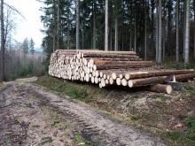 Warten auf den Abtransport