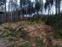 Auf der anderen Seite des Weges.