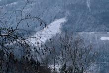 &quot;Hohedell&quot; und angrenzend - oberhalb &quot;Entenbergsbrunken&quot; - an den Wanderwegen A6 / L / A4 + Lahnwanderweg - Entenberg N/O