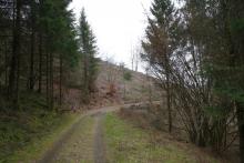 &quot;Hohedell&quot; und angrenzend - oberhalb &quot;Entenbergsbrunken&quot; - an den Wanderwegen A6 / L / A4 + Lahnwanderweg - Entenberg N/O