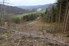 &quot;Hohedell&quot; und angrenzend - oberhalb &quot;Entenbergsbrunken&quot; - an den Wanderwegen A6 / L / A4 + Lahnwanderweg - Entenberg N/O