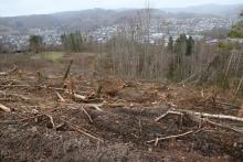zwischen Schützenplatz und Schafsberg - unterhalb Werner-Schmidt-Weg - von Ost über Nord nach West und umgekehrt