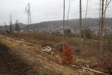 zwischen Schützenplatz und Schafsberg - unterhalb Werner-Schmidt-Weg - von Ost über Nord nach West und umgekehrt