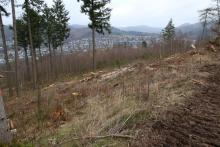 zwischen Schützenplatz und Schafsberg - unterhalb Werner-Schmidt-Weg - von Ost über Nord nach West und umgekehrt