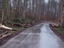 Ohne Worte Schade um den alten Baumbestand