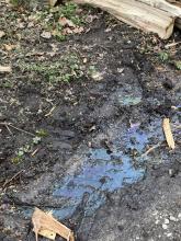 Ölfilm auf dem Oberflächenwasser durch einen Defekt an Forstmaschinen