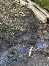 Ölfilm auf dem Oberflächenwasser durch einen Defekt an Forstmaschinen