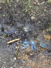 Ölfilm auf dem Oberflächenwasser durch einen Defekt an Forstmaschinen