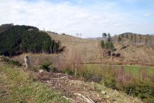 Nordseite Hasseln - am Wanderweg L2 - Bad Laasphe-Süd 23