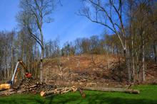 Harvester im FFH-Gebiet Zschopautal