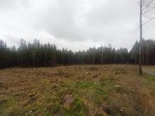 Koordinaten 50°47'5,6&quot;N, 13°06'40,6&quot;