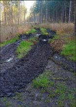 Massive Bodenschäden