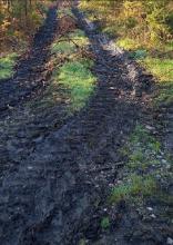 Massive Bodenschäden