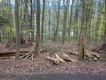 Jugendherberge Naturschutzgebiet