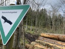 Blick in das Schutzgebiet