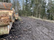 Holzstapel und Fahrspuren