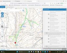 Umgebung um dem Tümpel kurz unter der Erlenbachquelle