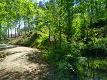 Im Hintergrund ist schon Kahlschlag zu sehen, um den Tümpel herum ist es aber noch grün.