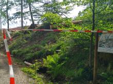 Fortschreiten der Fällmassnahmen