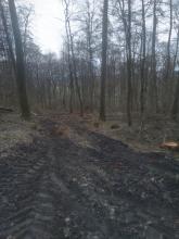 Zerstörung Spazierweg