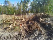 Blick Erlenbornweg Richtung Osten