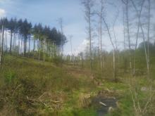 Blick Richtung Merzhausen