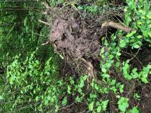 G. Jallow 100523 III