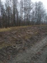 Massives Befahren der Fläche mit schwerem Gerät