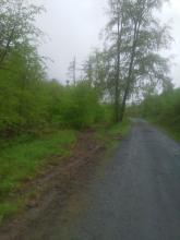 Bodenschäden durch tiefes Einfahren mit schwerem Gerät parallel zum Weg