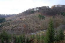 Bracht - Bad Laasphe-Nord - mehrfaches Schutzgebiet - FFH, NSG, Landschaftsschutzgebiet