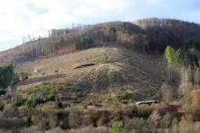 Bracht - Bad Laasphe-Nord - mehrfaches Schutzgebiet - FFH, NSG, Landschaftsschutzgebiet