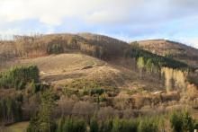 Bracht - Bad Laasphe-Nord - mehrfaches Schutzgebiet - FFH, NSG, Landschaftsschutzgebiet