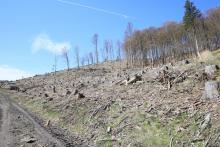 Bracht - Bad Laasphe-Nord - mehrfaches Schutzgebiet - FFH, NSG, Landschaftsschutzgebiet