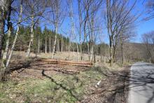 Unterstes Mittelköpfchen - direkt an der K53 zwischen Bad Laasphe und dem Harfeld - FFH und Landschaftsschutzgebiet