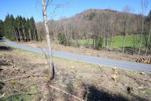 direkt am Weisenbach - an der L718 nördlich Bad Laasphe in Richtung Sassenhausen - 3-faches Schutzgebiet