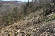 N/O Reiserberg - am Wanderweg L6 gelegen - vierfachem Schutzgebiet - Nähe einem Andachtsplatz vom Friedwald