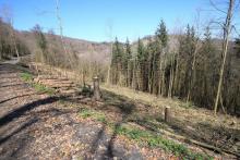 N/O Reiserberg - am Wanderweg L6 gelegen - vierfachem Schutzgebiet - Nähe einem Andachtsplatz vom Friedwald