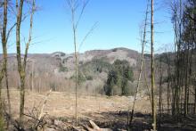 S/O Gebranntes Köpfchen - nördlich Alte Burg - am Wanderweg L6 - 3-faches Schutzgebiet