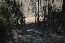 S/O Gebranntes Köpfchen - nördlich Alte Burg - am Wanderweg L6 - 3-faches Schutzgebiet