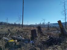 Blickrichtung Süden