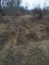 massive Schädigung des Bodens gegenüberliegend vom eigentlichen Fällgebiet